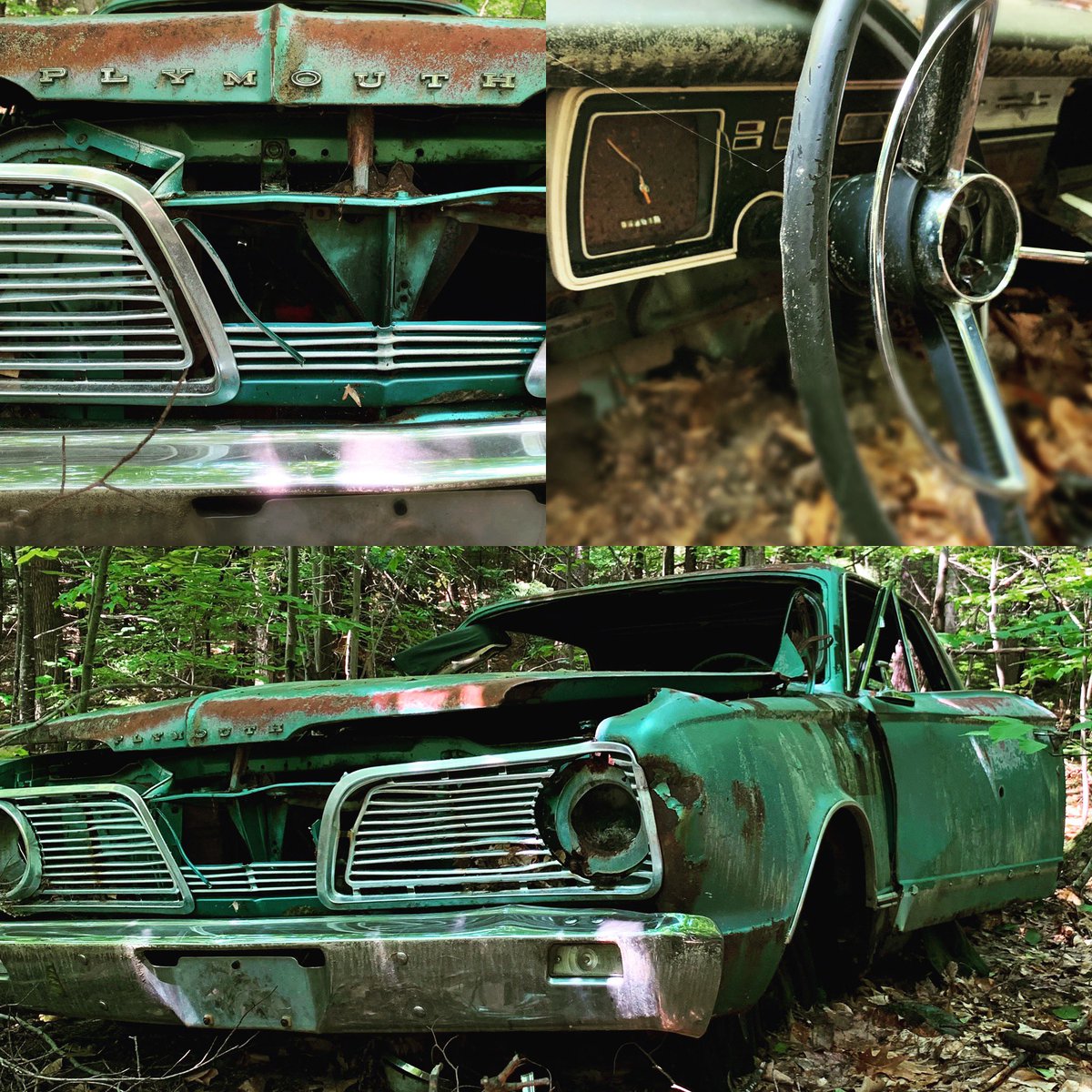 #abandoned in the woods. 
I am sure it once was a beautiful car!
#abandonedcar #plymouth #oldcars #valiant #plymouthvaliant #nostalgia #exploretheoutdoors #deepinthewoods