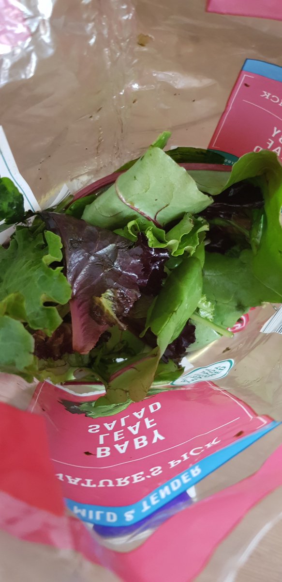 Miss_Leni's tweet photo. @AldiUK I bought baby lead salad in one of your stores yesterday to use today and I could smell &amp; see it wasnt right as soon as I opened it. 9 days out of date!!? What the bloody hell..? Pls look into how this made it onto your shelves! Really disappointed https://t.co/hpMXGP6y1P