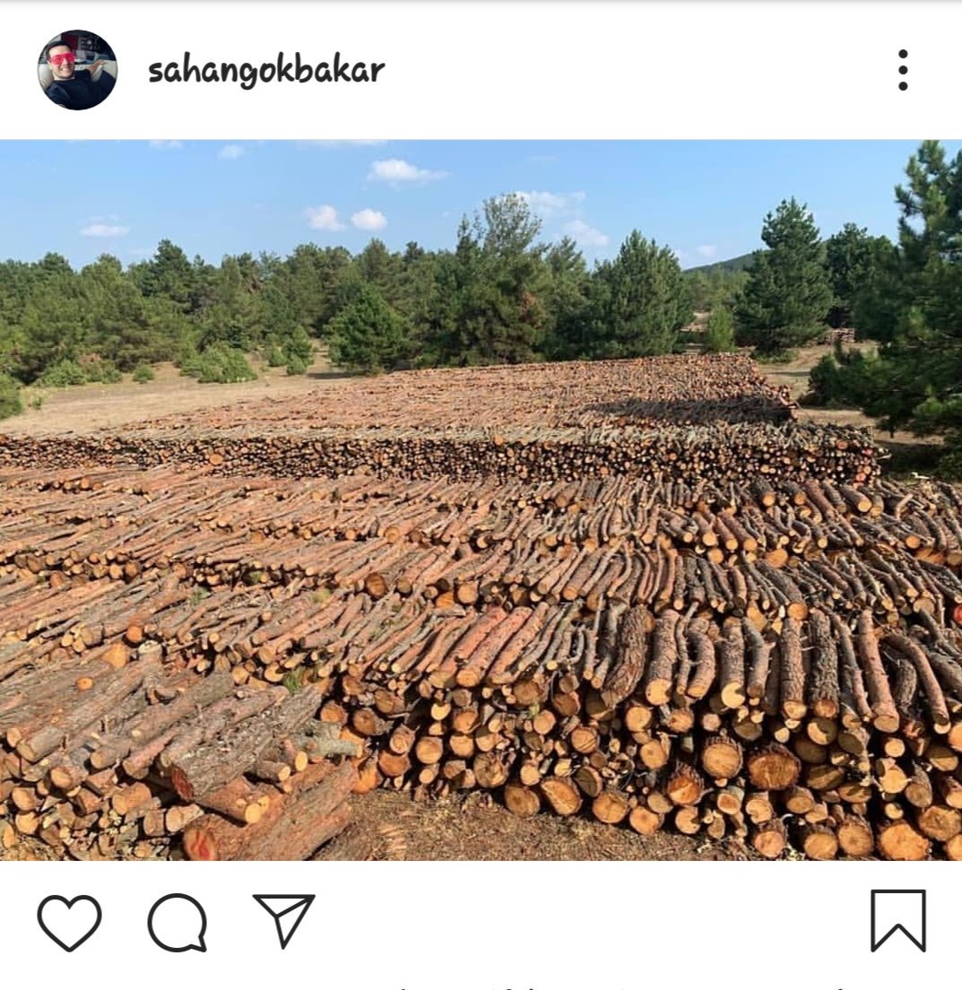 murekkebiMavi's tweet photo. Olayı en iyi özetleyen kişi olmuş @sgokbakar yüreginize sağlık
Bir avuç toprak binler kilo altından değerlidirGüzel memleketimin insanına doğasına hrhangibr canlısına taşına toprağına zararı dokunan kim varsa Allah bildiği gibi yapsn. Yazıklar olsun vatanı karış karış satanlara https://t.co/D0OFfL94kD