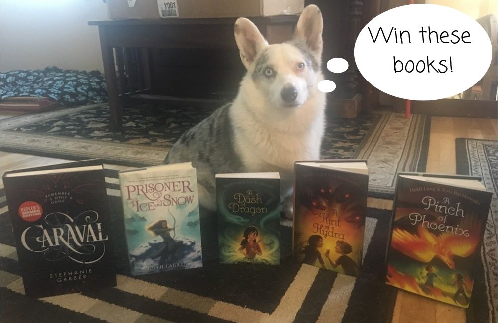 MGBookVillage's tweet photo. In addition to posting at the #MGBookVillage in honor of National Sister's Day today -- https://t.co/jSAtIRj67r -- sisters/co-authors Heidi Lang and Kati Bartkowski are giving away the below bundle of books! To enter, follow @HiDLang and @ktbartkowski and RT this tweet! https://t.co/ZypxWGDxNp
