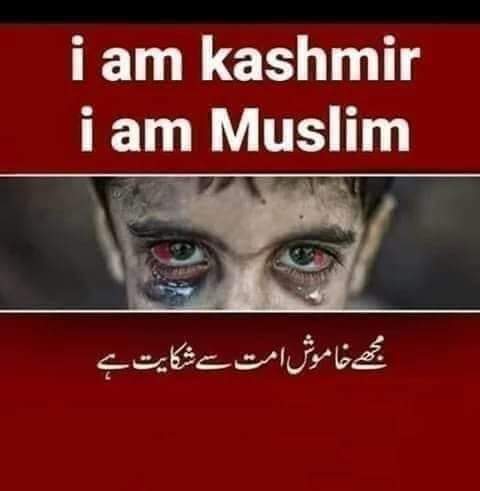 ik931346's tweet photo. https://t.co/zMJ4CmlP2E