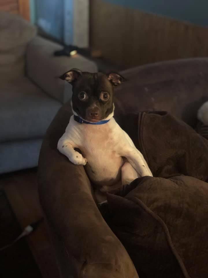 abettermood's tweet image. Coffee Bean, why do you sit like that? via ift.tt/2l5qkgh putyouinabettermood.com