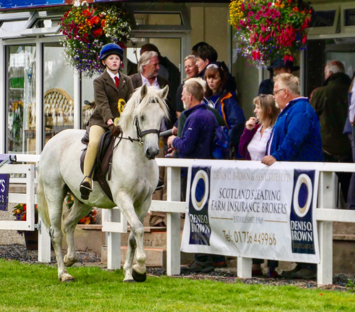 Denis O. Brown Insurance Brokers (@denisobrown) on Twitter photo ๐ด Weโre proud to sponsor the <a href="/turriffshow/">Turriff Show</a>, one of Scotlandโs biggest agricultural shows. Here is our advertising banner on display today around the main ring. #turriffshow #turriffshow2019 ๐ด Weโre proud to sponsor the <a href="/turriffshow/">Turriff Show</a>, one of Scotlandโs biggest agricultural shows. Here is our advertising banner on display today around the main ring. #turriffshow #turriffshow2019