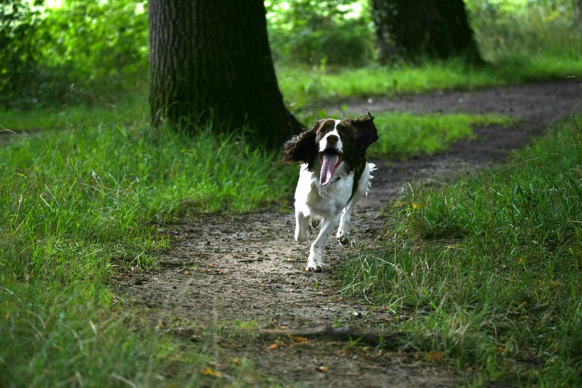 Wouter Wortman tweet media