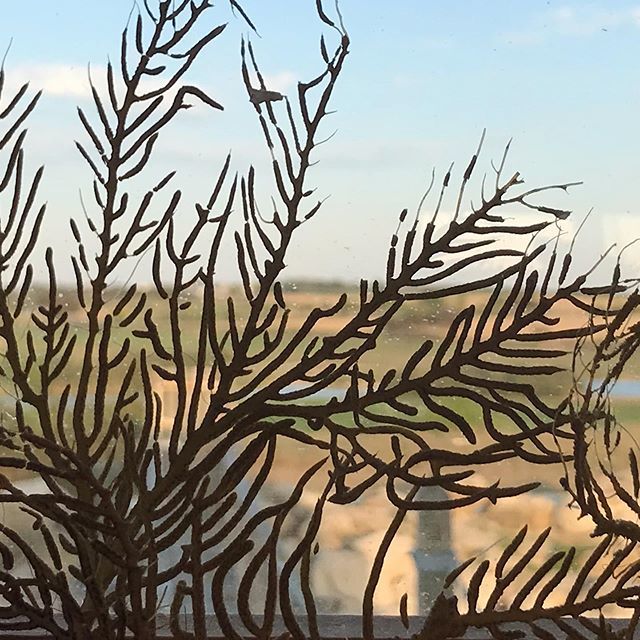 this_crone's tweet photo. On holiday and taking time to notice what my brain would so easily overlook or brush over as insignificant. Allowing myself to appreciate this moment, a tiny, secret territory that opens my heart to stop &amp; contemplate. It amazes me how much hidden beauty… https://t.co/4mwbOeD95I https://t.co/BfRMZpfoOz