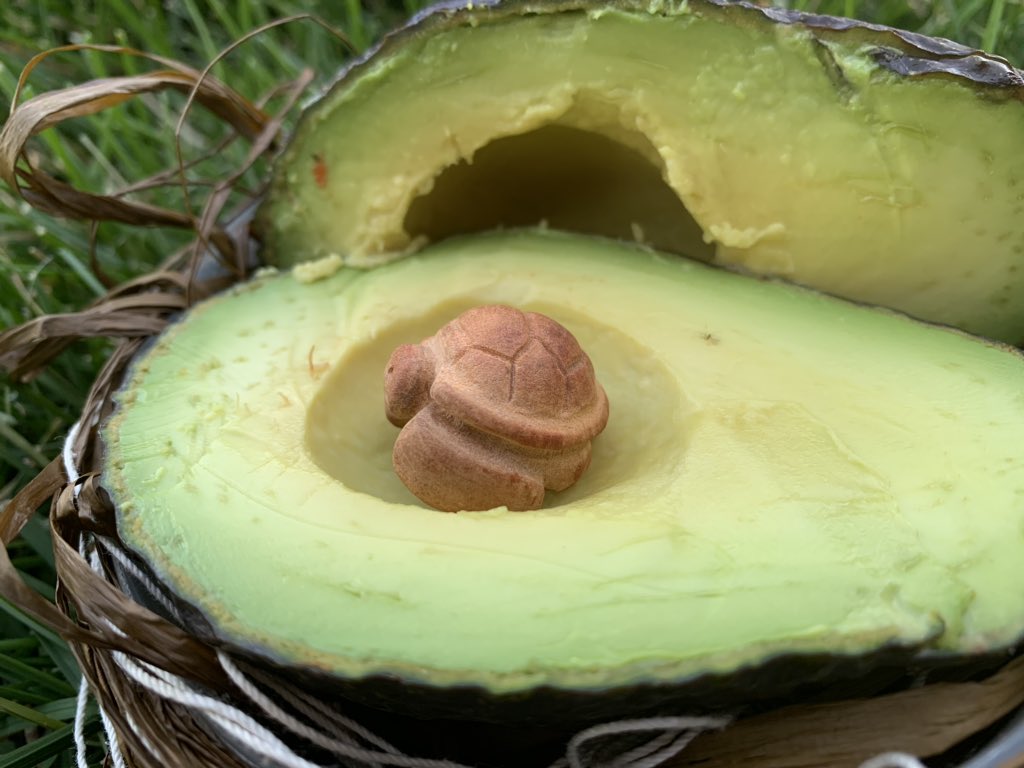 mastersofmayhe3's tweet image. #GISH item 99
Little known fact: when an avocado is fully ripe, it hatches. Show the tiny intricately carved creature sleeping inside that has been carved from the pit. 
#seaturtle #SEEturtles