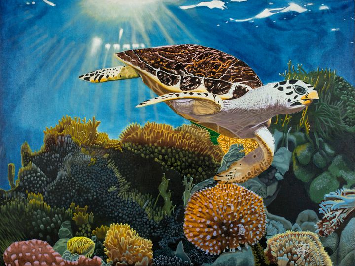 CustomSmittyArt's tweet image. Featured Art of the Day: "Jack the Sea Turtle". Buy it at: ArtPal.com/customsmittyar…