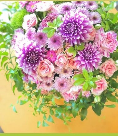 thesphemkhize's tweet image. #JSRSA #JUKAI #Flowers ❤