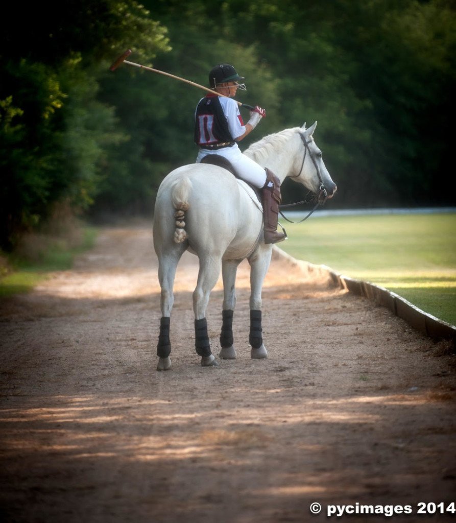 PoloWeekly's tweet photo. Have you met any members of the Chukkar Farms Polo Club? They travel to events like Women’s and Junior's tournaments, as well as fundraisers and awareness events held by other local and out of state clubs. https://t.co/036YjjBRGJ https://t.co/8BqPG21du2