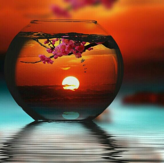 Persephone_Colo's tweet photo. Kindness is not an act, it's a lifestyle.
#ThinkBIGSundayWithMarsha #positivevibesonly #inspiration #motivational #KindnessMatters https://t.co/WOjRnNEbY5