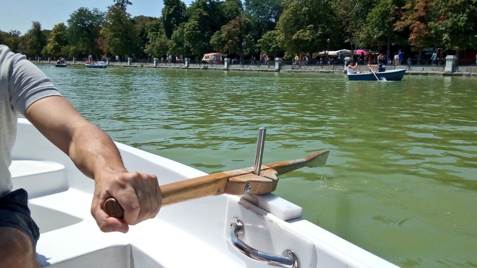 edusqo's tweet photo. After #EroticPath and #CarPathKaraoke here it is: #SportPath. For those pathologist who enjoy #Summer & #SummerTime 😎.
Even if it's not a vacation, Sundays are there to help 😄 @_ElRetiro #Madrid
#ILookLikeAPathologist https://t.co/9e17Sx1reZ