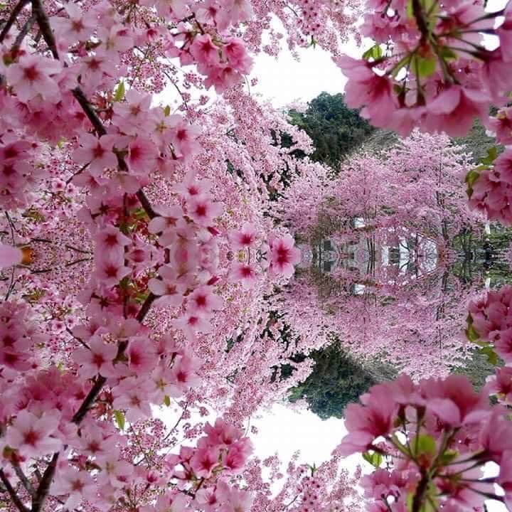 ramblingsloa's tweet photo. Everything we hear is an opinion, not a fact.
Everything we see is a perspective, not the truth.

Marcus Aurelius https://t.co/ZoGnbVmMxr