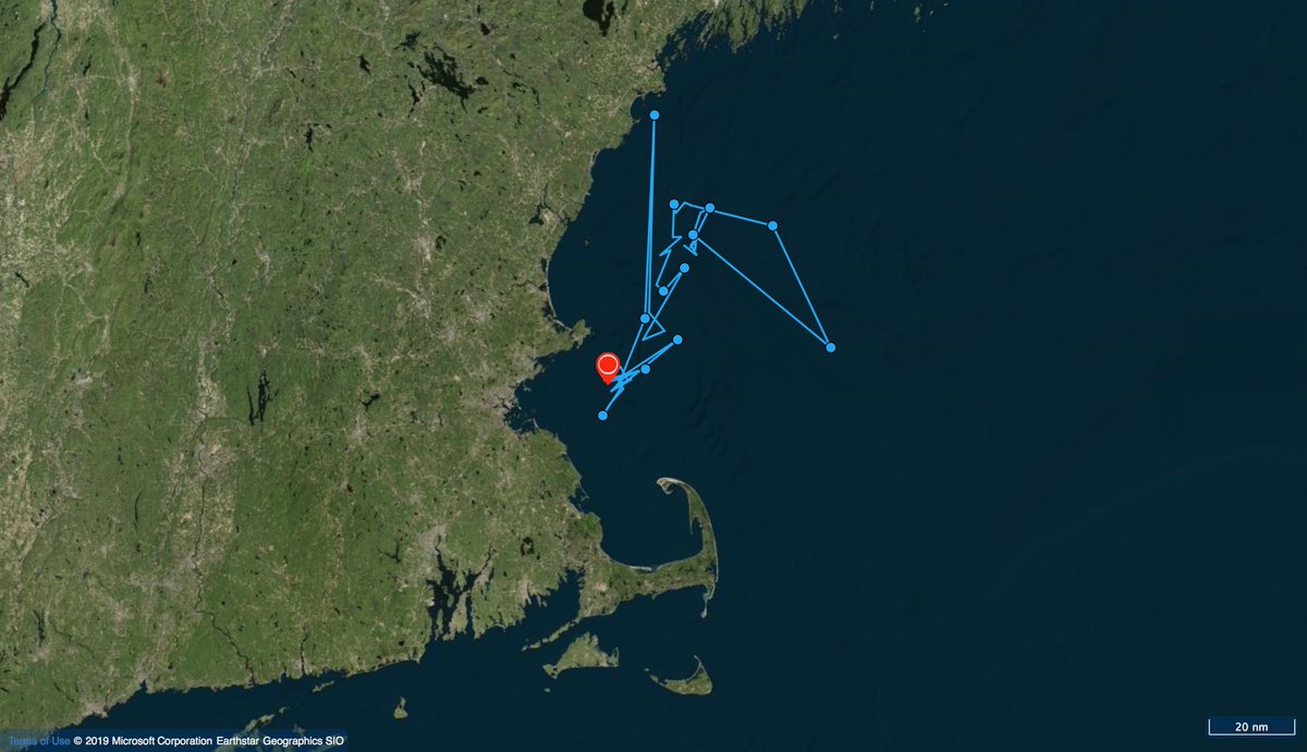 SulikowskiLab's tweet photo. We wanted to update you on Destiny, our porbeagle shark that was captured with a devastating injury caused by plastic that had  become lodged around her neck. She looks to be making a remarkable recovery and is on the move! Stay tuned for updates on this amazing shark! https://t.co/anCvIQdwQQ