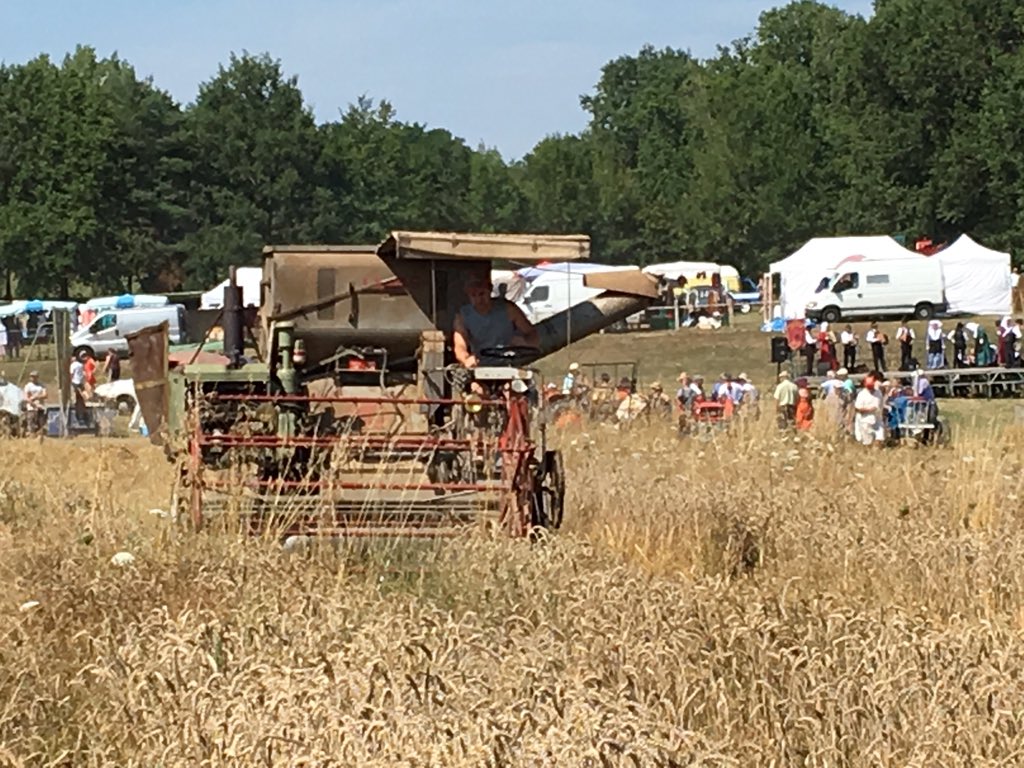 PierreMarceteau's tweet photo. Dimanche - Fête des Moissons au cœur de la cité périgordine de Miallet, aux portes du Limousin !!! 🚜🌾🌳 #agriculture #céréales #ruralité #patrimoine #culture #conservatisme #tracteur #mialet #périgord #dordogne #aquitaine #limousin @jeanpierrecubertafon @JeunesAgri https://t.co/wDeZghjHzh
