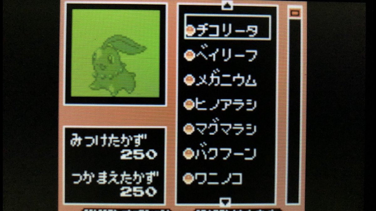 高宮隼人 ポケモン銀vc 新型ポケモン図鑑完成 ホントはミュウも含めて251匹で完成なんだけど これはこれで完成なのです 11月の新作でも図鑑の完成目指して頑張ります