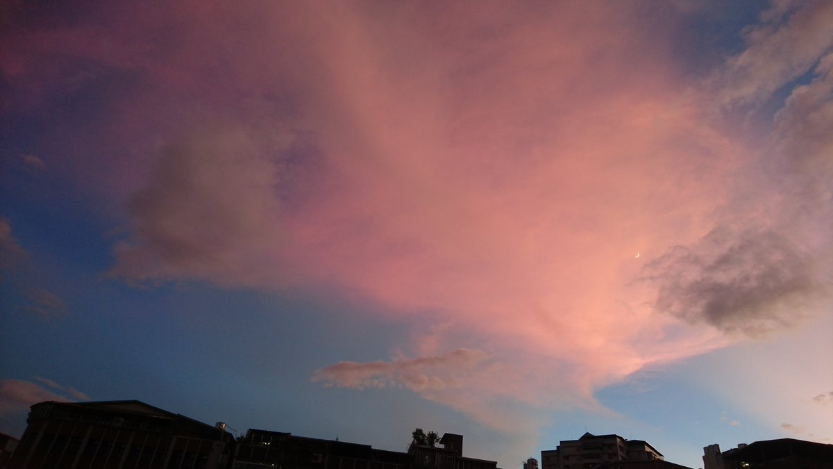 蓮藕藍 V.S. 芋頭粉