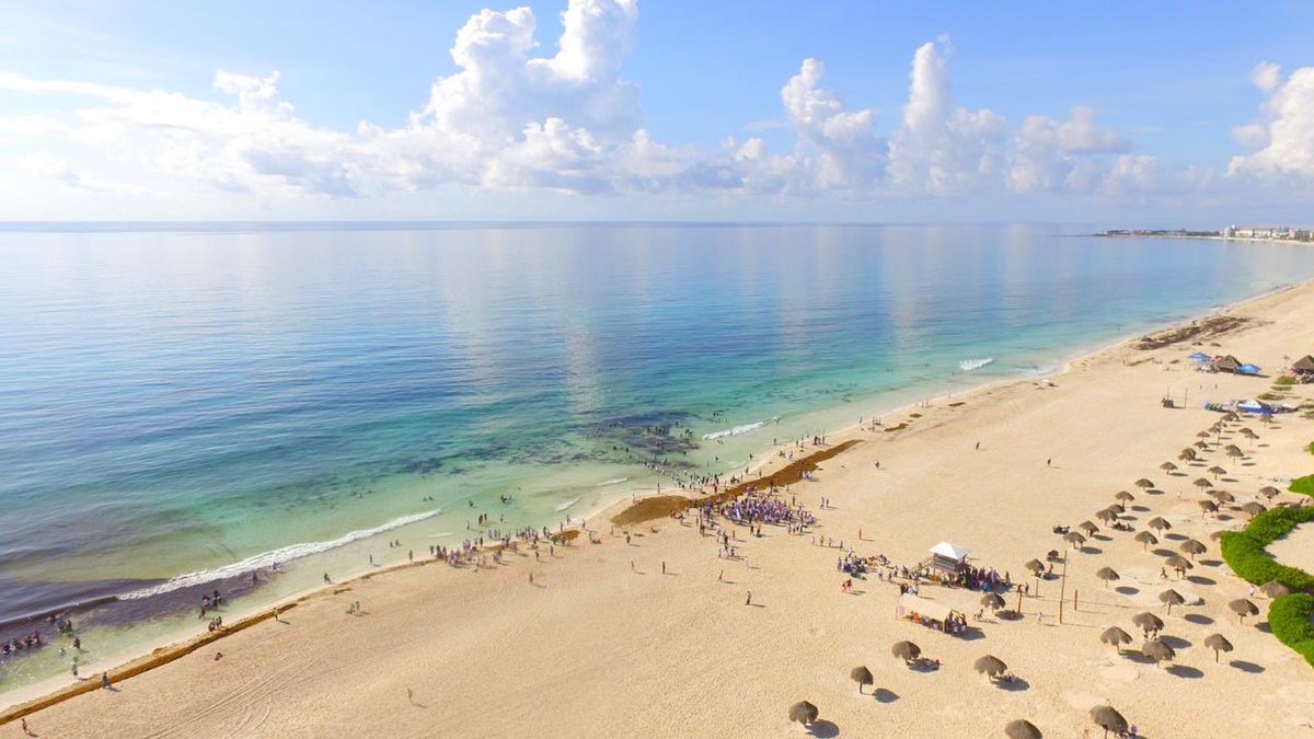 #PlayaDelfines es una de las 10 playas con el certificado #BlueFlag. 
¡Hoy es un buen día para disfrutarla! Recuerda que conservarla limpia es una responsabilidad compartida.
#Cancún

#ECOnéctate #CancúnTierraDeTodos