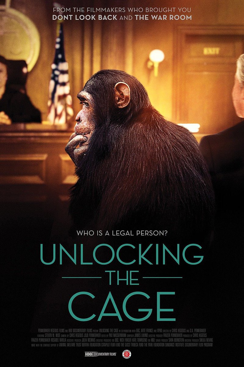 Matt_Dominguez's tweet photo. Sad to hear that legendary filmmaker, DA Pennybaker, passed away. Among the list of his great films, he produced #unlockingthecage, a documentary about the critical and historic work of the @NonhumanRights! https://t.co/by8T6rcrQl