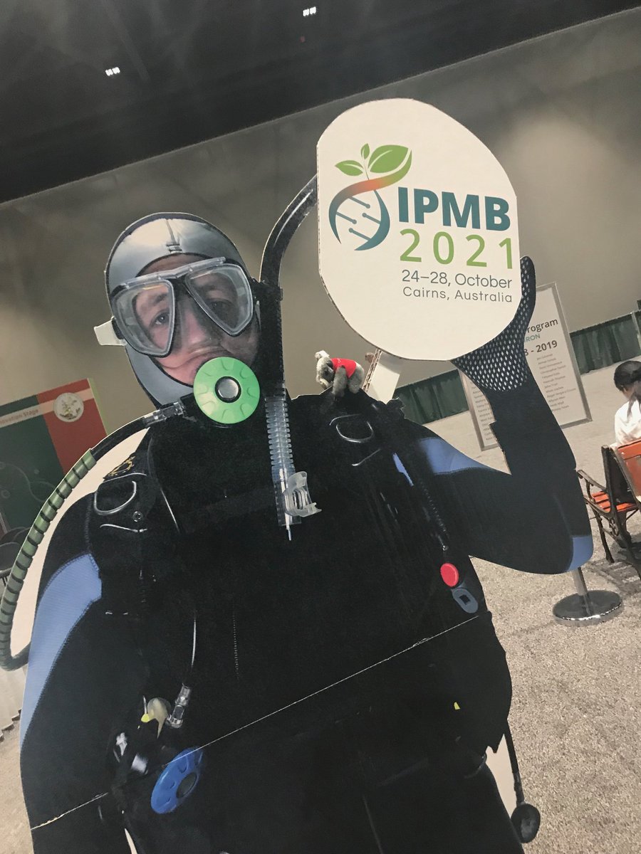 plantae_org's tweet photo. Join the Koala Bear Scavenger Hunt! #IPMB2021 is going to Australia!! 🐨 Visit the exhibitors at #PlantBio19 to find a koala bear and win a prize! Details at ASPB Booth! @IPMBcongress @ASPB @ASPBPlantBioMtg #ASPBForward https://t.co/2huLyvcppy