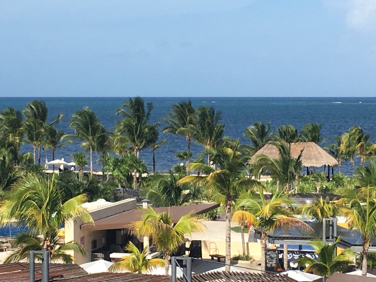 emmsmilloy's tweet photo. Sunday’s view! https://t.co/63erJCE4JQ