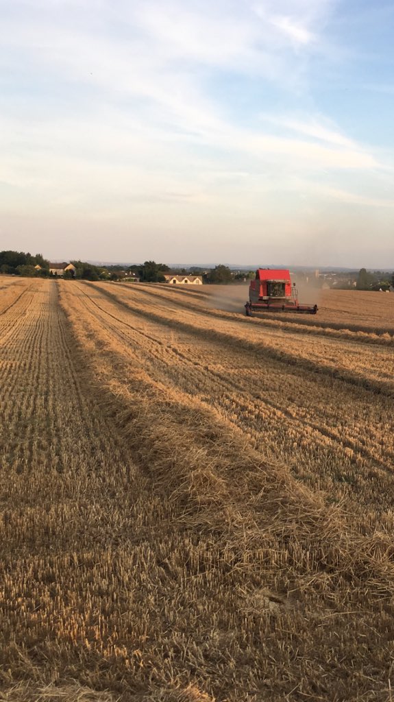 franklins_Ag's tweet photo. Good start to #harvest19 thanks to @george_cuth @IanPFranklin #hellofateam 💪💪💪 42ha down! https://t.co/uMY47sKxLU
