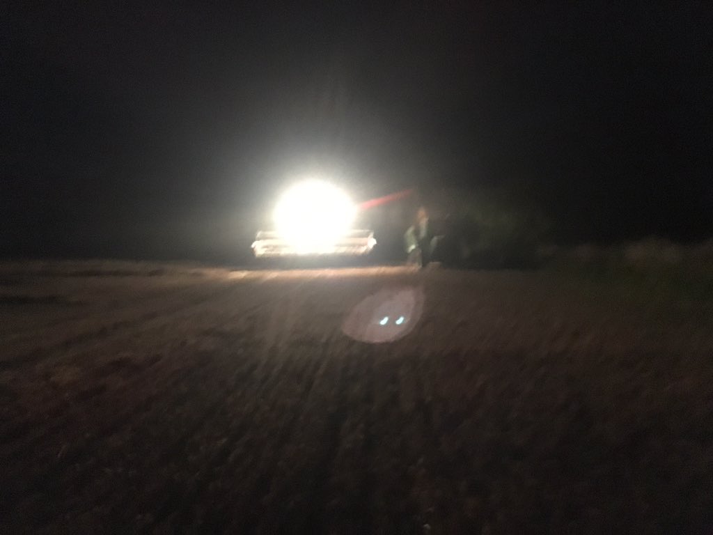 franklins_Ag's tweet photo. Good start to #harvest19 thanks to @george_cuth @IanPFranklin #hellofateam 💪💪💪 42ha down! https://t.co/uMY47sKxLU
