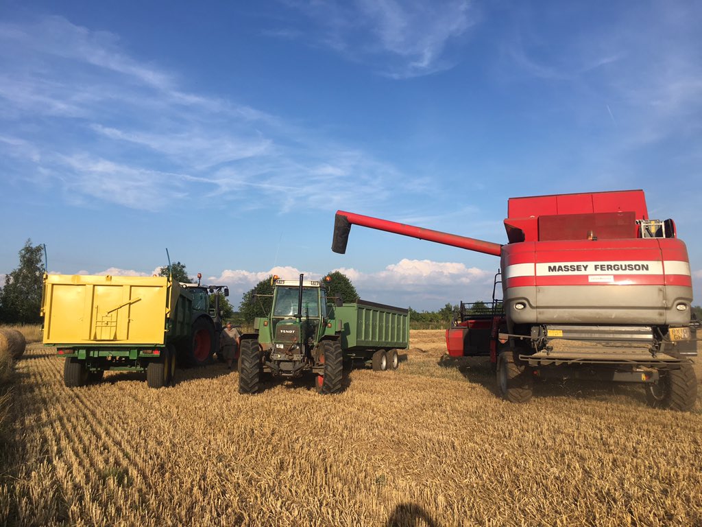 franklins_Ag's tweet photo. Good start to #harvest19 thanks to @george_cuth @IanPFranklin #hellofateam 💪💪💪 42ha down! https://t.co/uMY47sKxLU