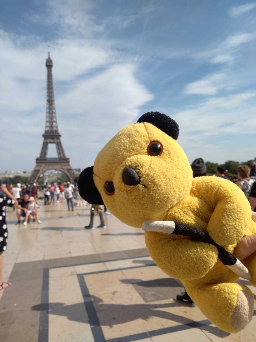 Sooty's Travels (@s_sooty) on Twitter photo 