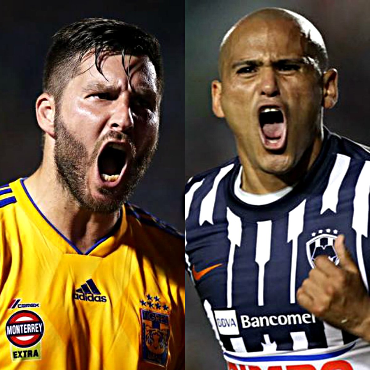 SoyReferee's tweet photo. ¡ABRIMOS DEBATE! 💥

⭐ Máximo goleador de Tigres: André-Pierre Gignac (105 goles en 188 partidos)

⭐ Máximo goleador de Rayados: Humberto Suazo (121 goles en 255 partidos)

¿Con qué delantero te quedas? 🤔

🔄 André-Pierre Gignac
❤ Humberto Suazo https://t.co/U2Dp3eZZkd