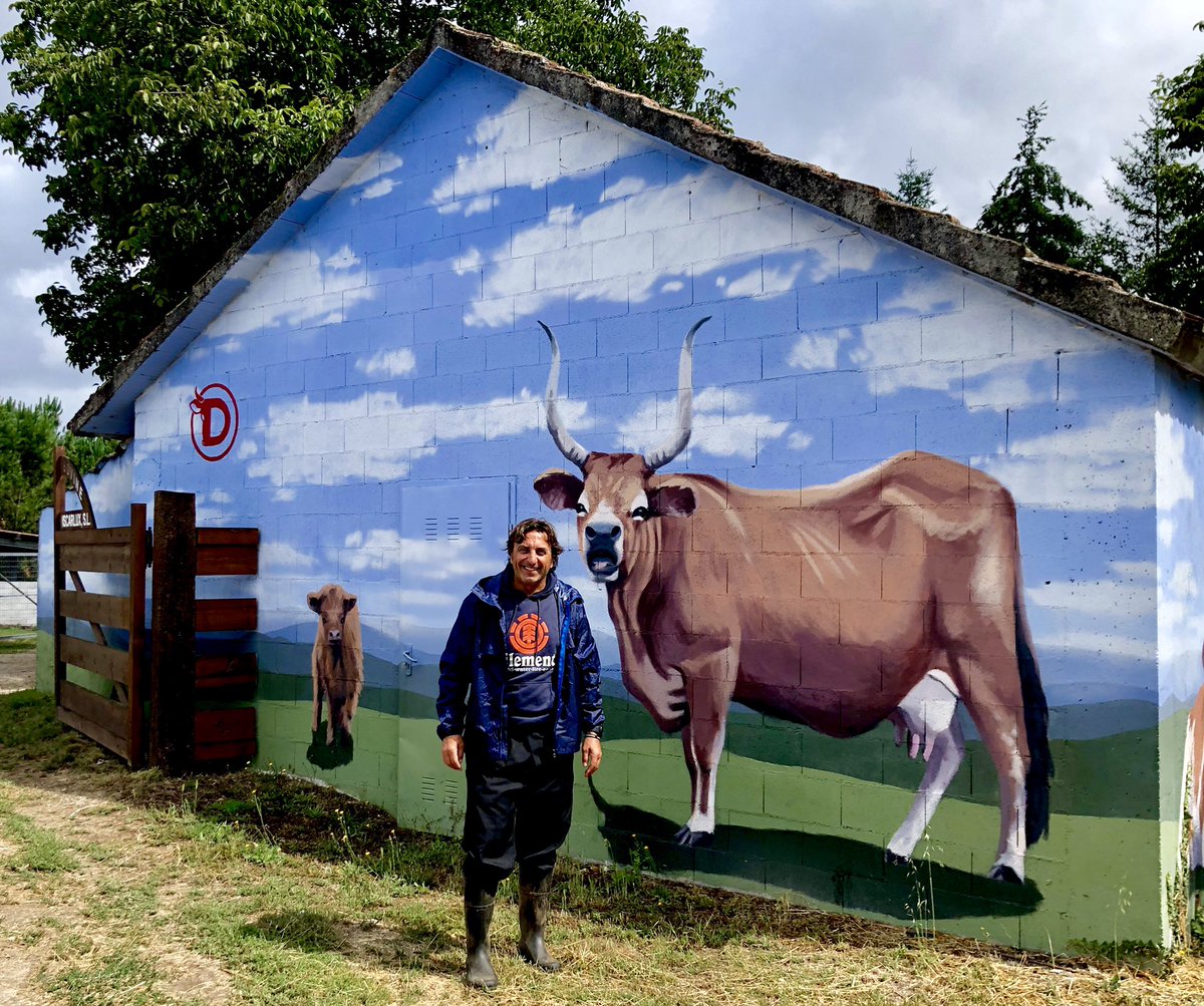 JCCapel's tweet image. ¿Cuál es la mejor carne roja del mundo? Trece razas bovinas se disponen a competir en Galicia cerca de Finisterre. Claves del proyecto “Fisterra Bovine World” que concluirá en enero de 2020. @ElViajero_Pais elpais.com/elpais/2019/08…