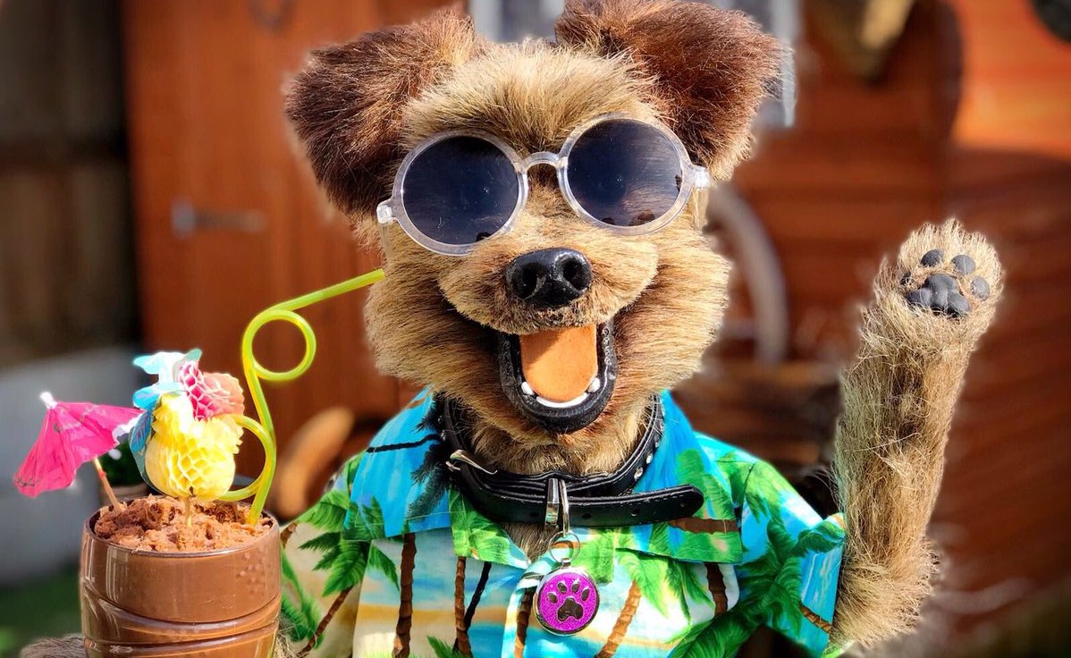 Hacker T Dog tweet media