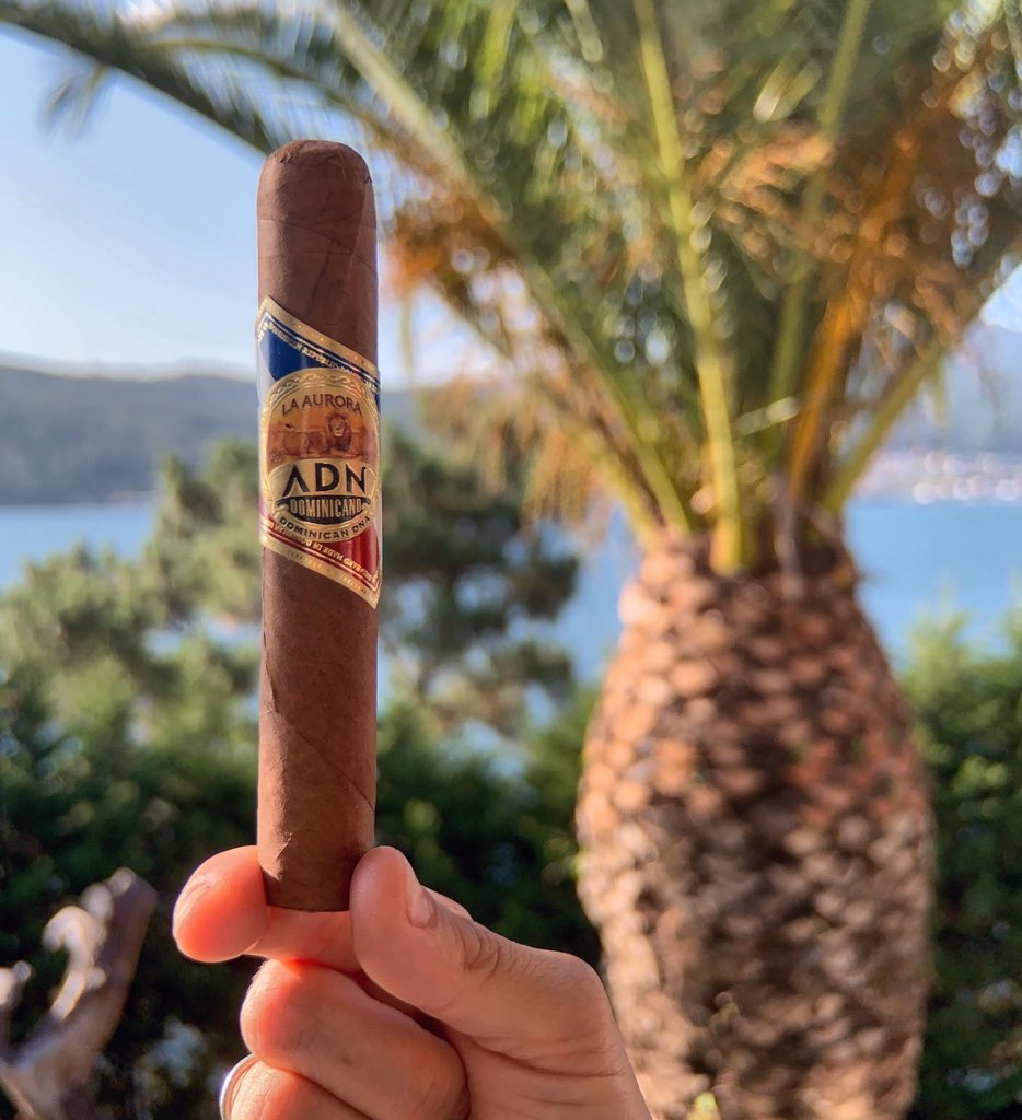 #Domingo soleado con #LaAuroraADNDominicano
#LaAuroraCigars #cigarros #puros #cigarrodominicano #premiumcigars #tabaco #fumador #fumar #cigarrospremium #FelizDomingo #cigaraficionado