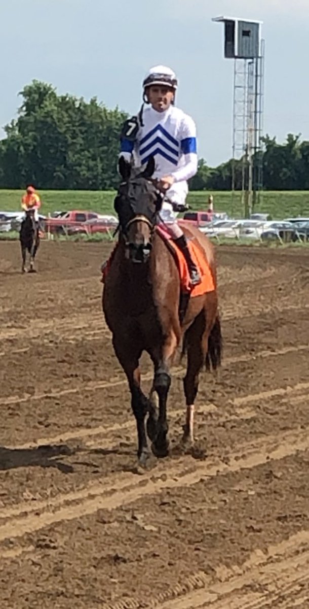 IanWilkesRacing's tweet photo. Mr Cub wins the @KYDownsRacing Preview Tourist Mile S. @EllisParkRacing! Congratulations to owner @TurfStable and jockey @b_hernandezjr https://t.co/TeVhX26ujv