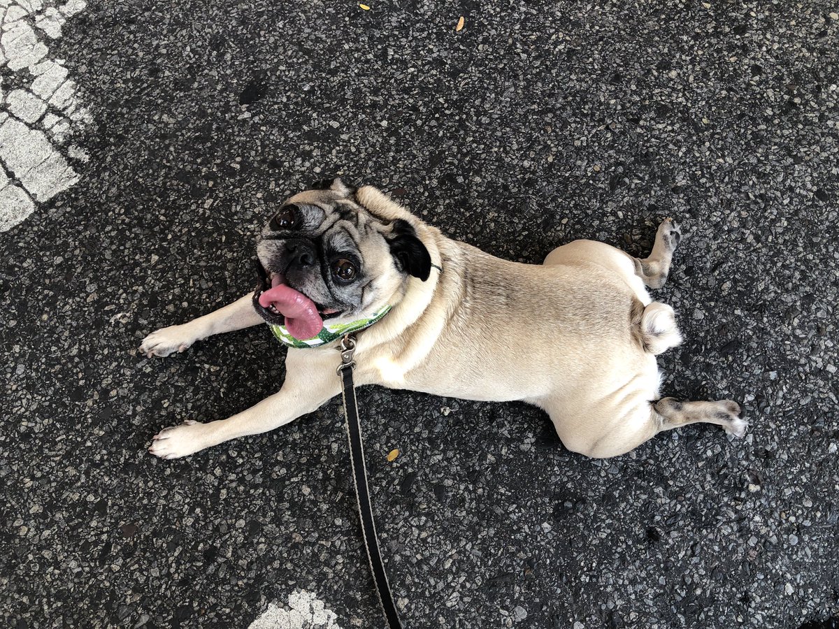 <a href="/2ndStFestival/">2nd Street Festival</a> It’s 🔥 out