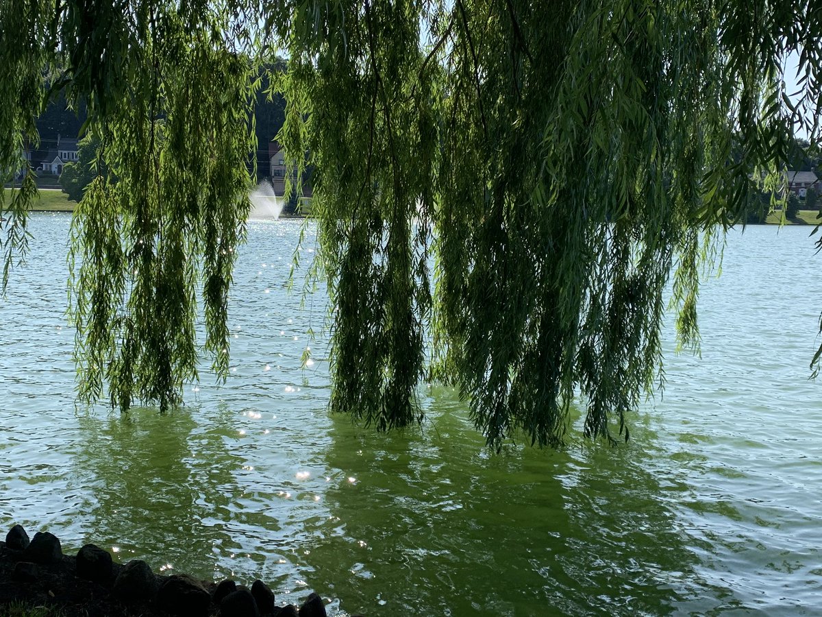 UpbeatSyr's tweet photo. Upper Onondaga Park is beautiful today! https://t.co/LtfQuCu2L7