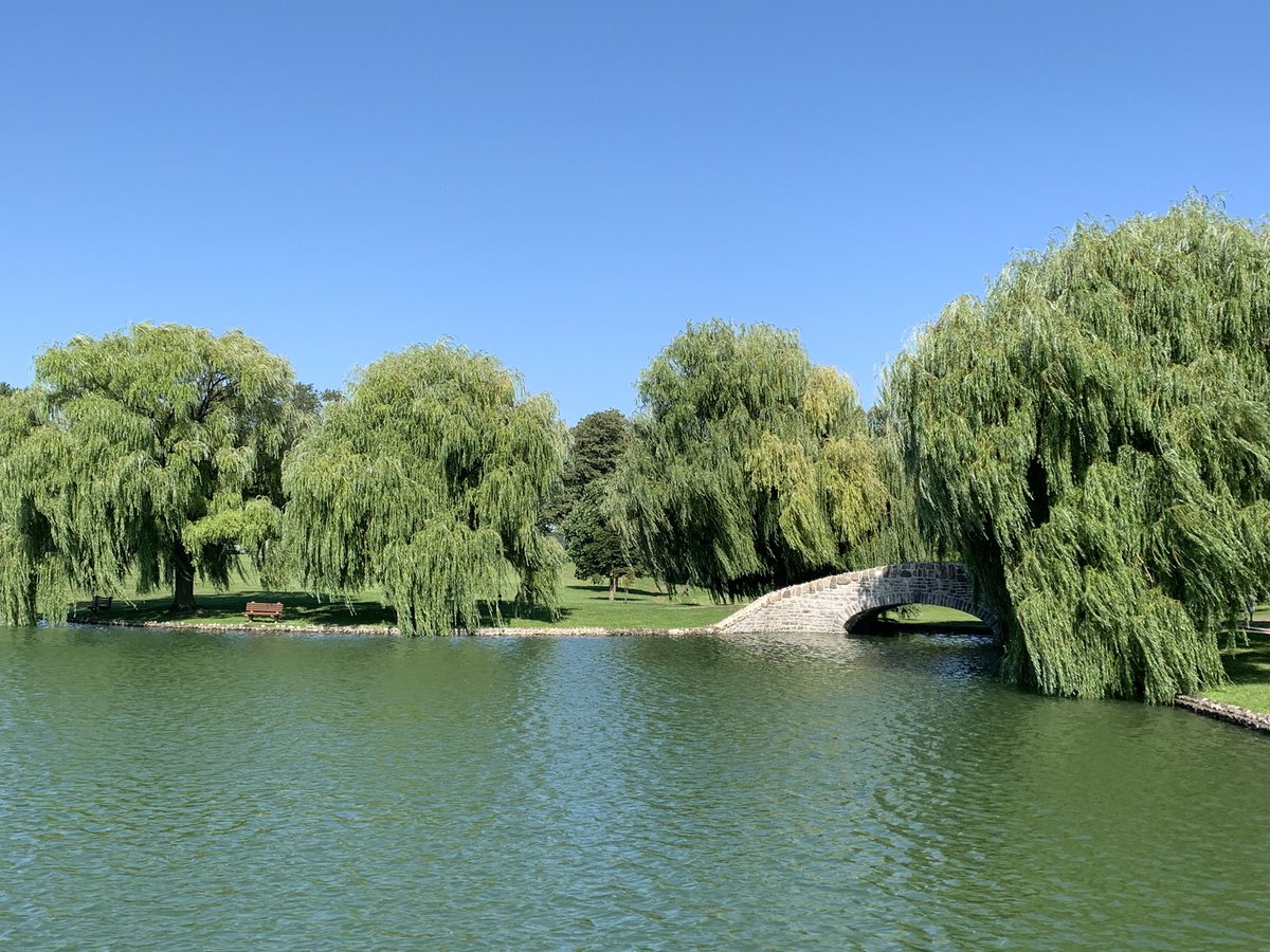 UpbeatSyr's tweet photo. Upper Onondaga Park is beautiful today! https://t.co/LtfQuCu2L7