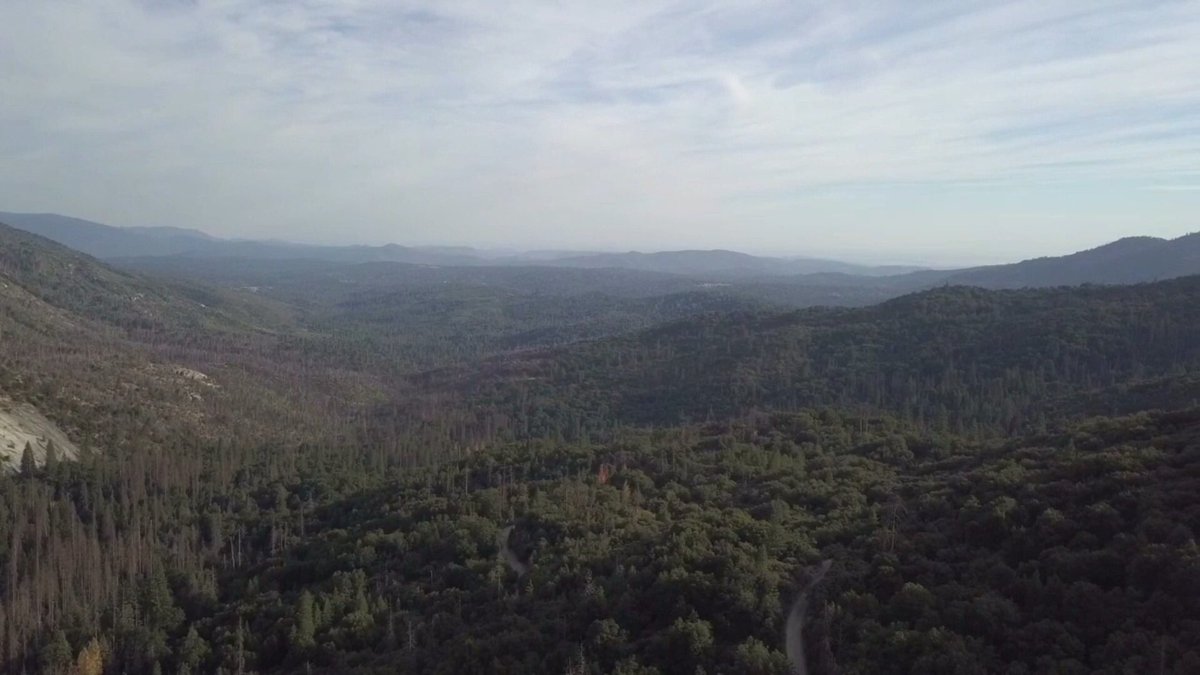 Central camp road drive and fly