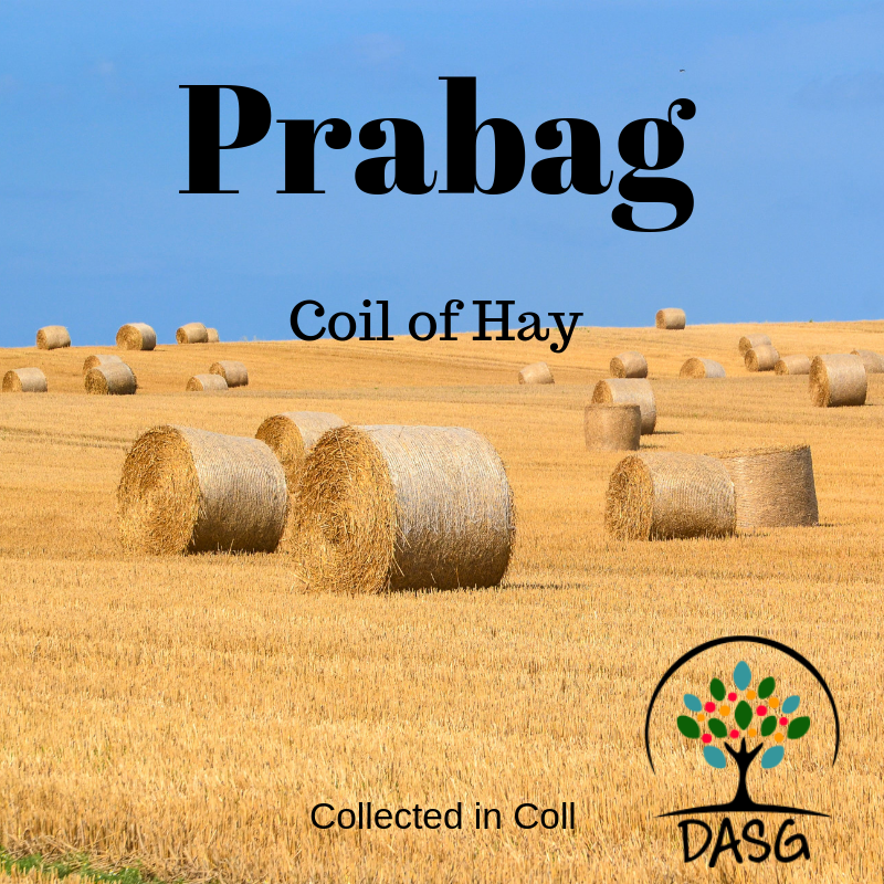 DASG_Glaschu's tweet photo. https://t.co/OqzKfD8Oan
#Gaelic #Gàidhlig #DASG #archive #tasglann #UofG #Archivist #ScotlandsSounds #DigitalArchive #IYIL2019 #UNESCO #IsMiseGàidhlig #harvest #prabag #hay #Tioradh #Tiree #hayyou,rememberme? https://t.co/OWJlCJcKLH