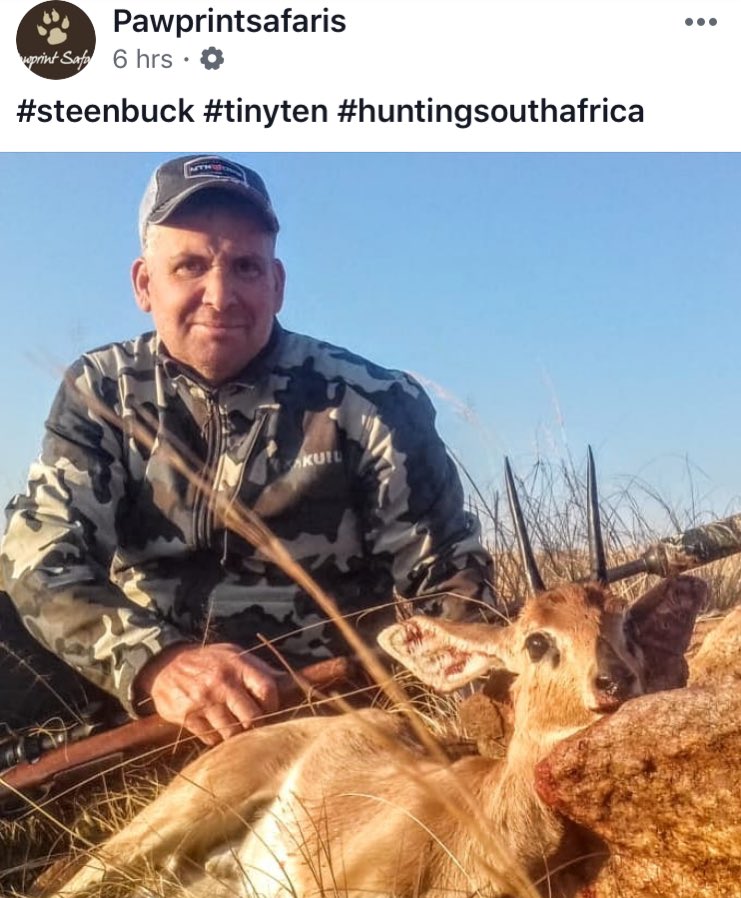 XposeTrophyHunt's tweet photo. This elderly man is spending his time, and a lot of $$ to kill and collect the tiny 10. Made up of the steenbok, and other pretty, little creatures like the Suni and Dik Dik. POS🤬
@Protect_Wldlife @PeterEgan6 @_AnimalAdvocate @Animal_Watch @ARCrusade @RobRobbEdwards @Animals1st https://t.co/2gpKjiOI57
