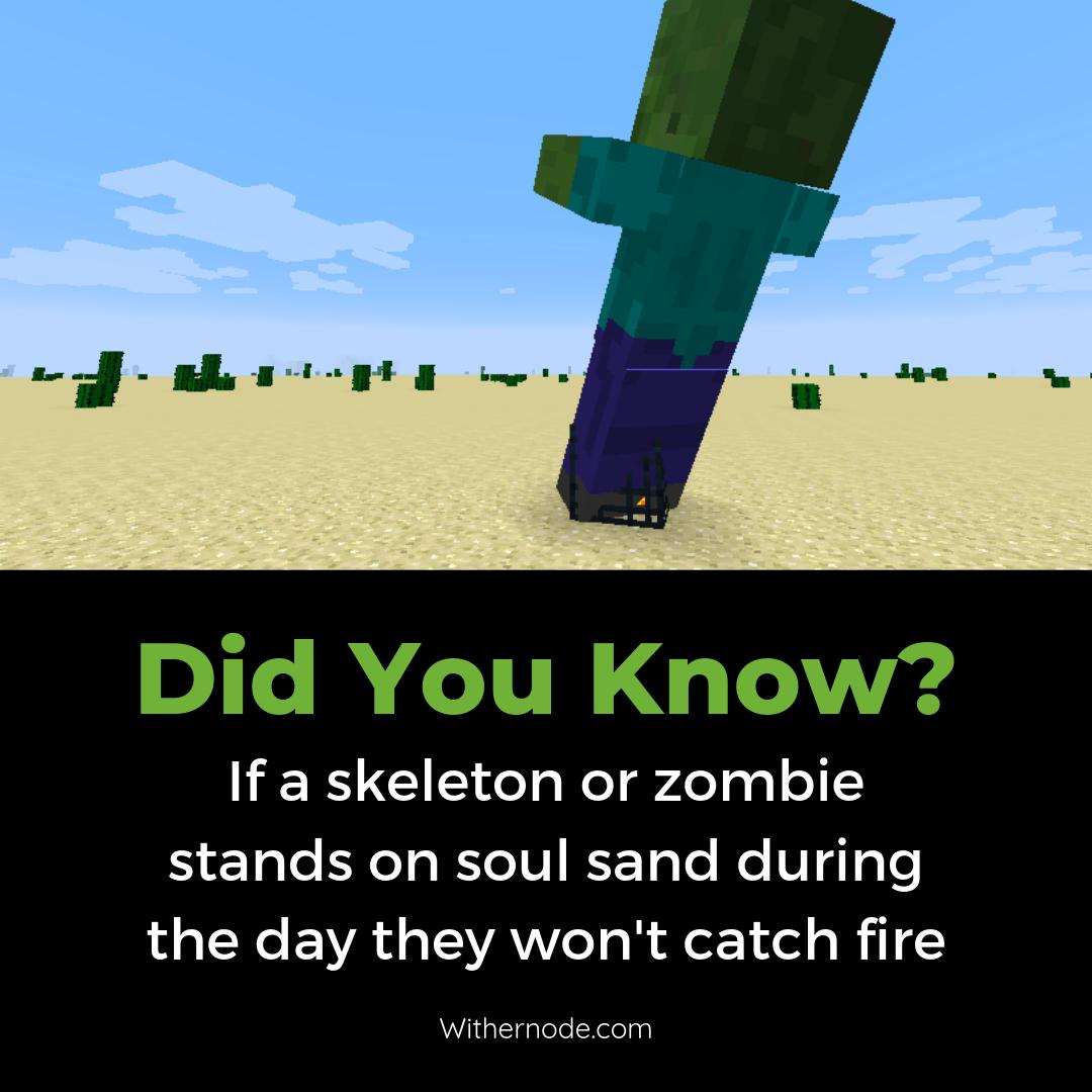 WitherNode's tweet image. Did you know that? If not, well, then it's good to share with your friends! 😃 #minecrafter #minecrafting #players