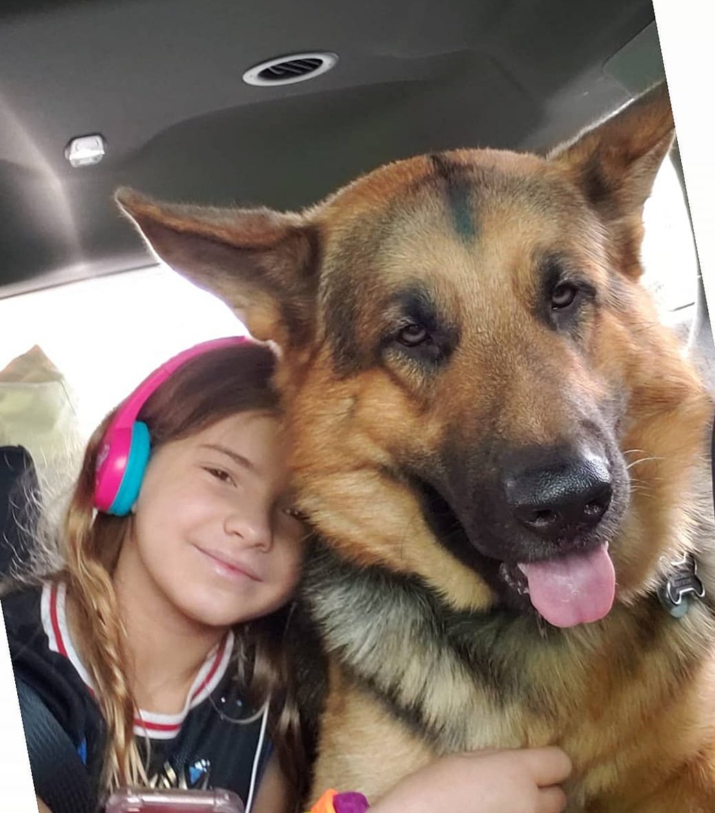 bbqnbrew's tweet photo. Lil Princesses Bodyguard...
He's got my back.. 😎
Smoke!
#pigfloydbbq #miami #bestbbqinmiami #bestbrisketinmiami #woodfired #palmettobay #mybackup #gsd #gsdofinstagram https://t.co/sNOAQT31Yl