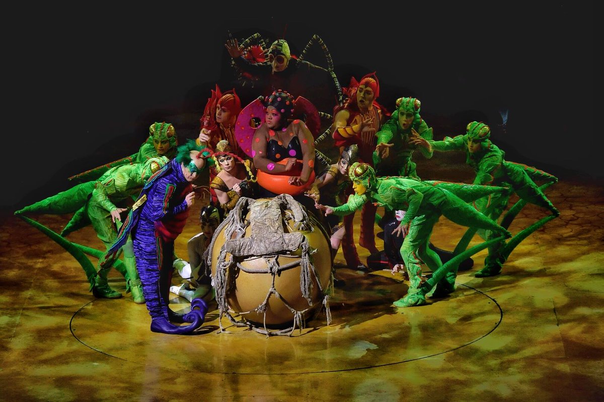 CirqueSoleilCL's tweet photo. ¡Lo mejor de agosto, es que llega a Chile #OVOSantiago 🌞 #CirqueDuSoleil 🌞

No te quedes sin disfrutar el espectáculo que da la vuelta al mundo y asegura las últimas entradas 👉🏻 https://t.co/fFtdEBkwYu https://t.co/1brToeimoD