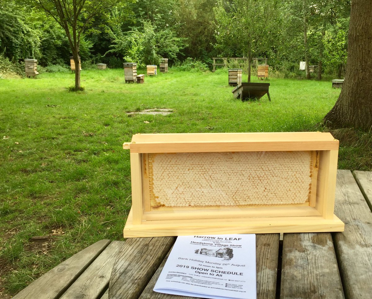 A new beekeeper’s first harvest - this frame is destined for our 26 August Honey Show.