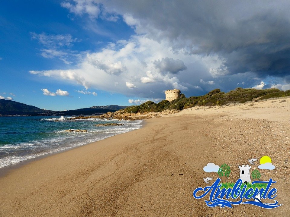 Ambiente_anim's tweet photo. Visites de cette semaine

5 août : Plage du Ricanto
6 août : Plage de Capitello
7 août : Parc des Milelli
8 août : Grand site de la Parata

Horaire : 17h
Durée : 1h30-2h
Infos et inscriptions : 06 46 58 50 93 https://t.co/LBAHVnZ4mK