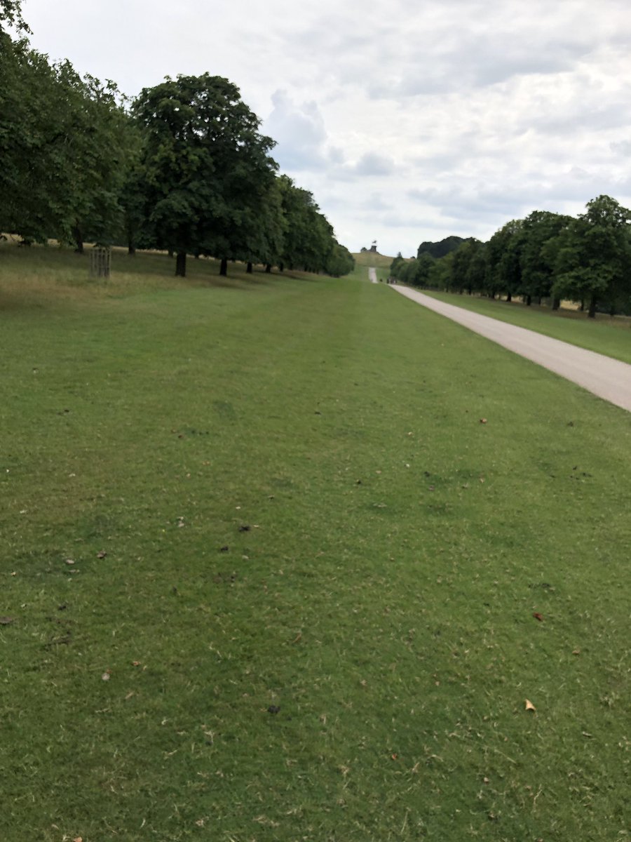 ArtistMdS's tweet photo. Fun day riding around Windsor Great Park. Not the best photos, my horse was being very naughty. #horseriding https://t.co/V3WMsgTB49