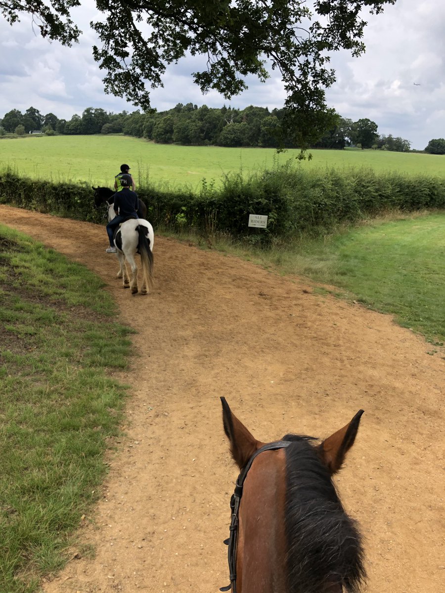 ArtistMdS's tweet photo. Fun day riding around Windsor Great Park. Not the best photos, my horse was being very naughty. #horseriding https://t.co/V3WMsgTB49