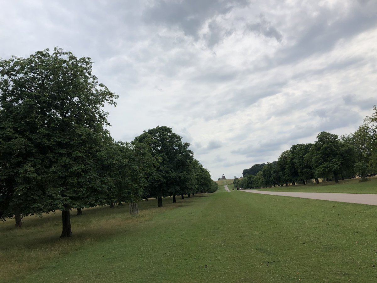 ArtistMdS's tweet photo. Fun day riding around Windsor Great Park. Not the best photos, my horse was being very naughty. #horseriding https://t.co/V3WMsgTB49