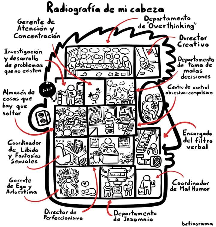 Loly 🐱 (@petiteloly) on Twitter photo 