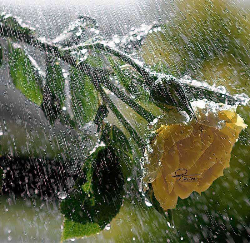 كلمة “عـادي"
 اسلوب حياة أحيانا :") !

# الدنياكسرتني