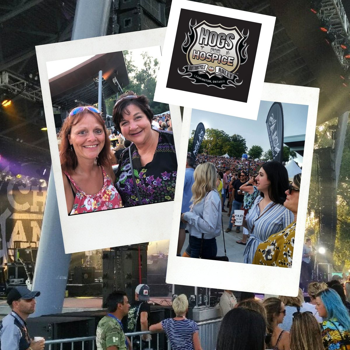 A.M.A. Horticulture Inc. (@amahort) on Twitter photo Our team had a great time last night at <a href="/Hogs4Hospice/">Hogs4Hospice</a>! Proud to sponsor this annual show in support of local hospice and healthcare. #onthe42 #h4h2019 #discoverON Our team had a great time last night at <a href="/Hogs4Hospice/">Hogs4Hospice</a>! Proud to sponsor this annual show in support of local hospice and healthcare. #onthe42 #h4h2019 #discoverON